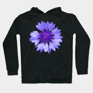 blue cornflower, flower, flowers, blossom, garden Hoodie